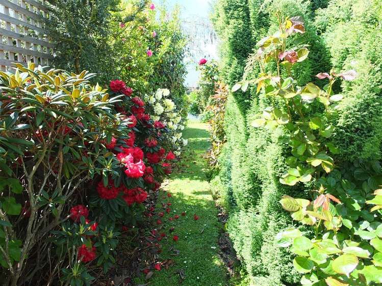 3/9 Park Lane Highfield_12