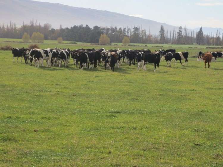 759 Gladbrook Road Middlemarch_12