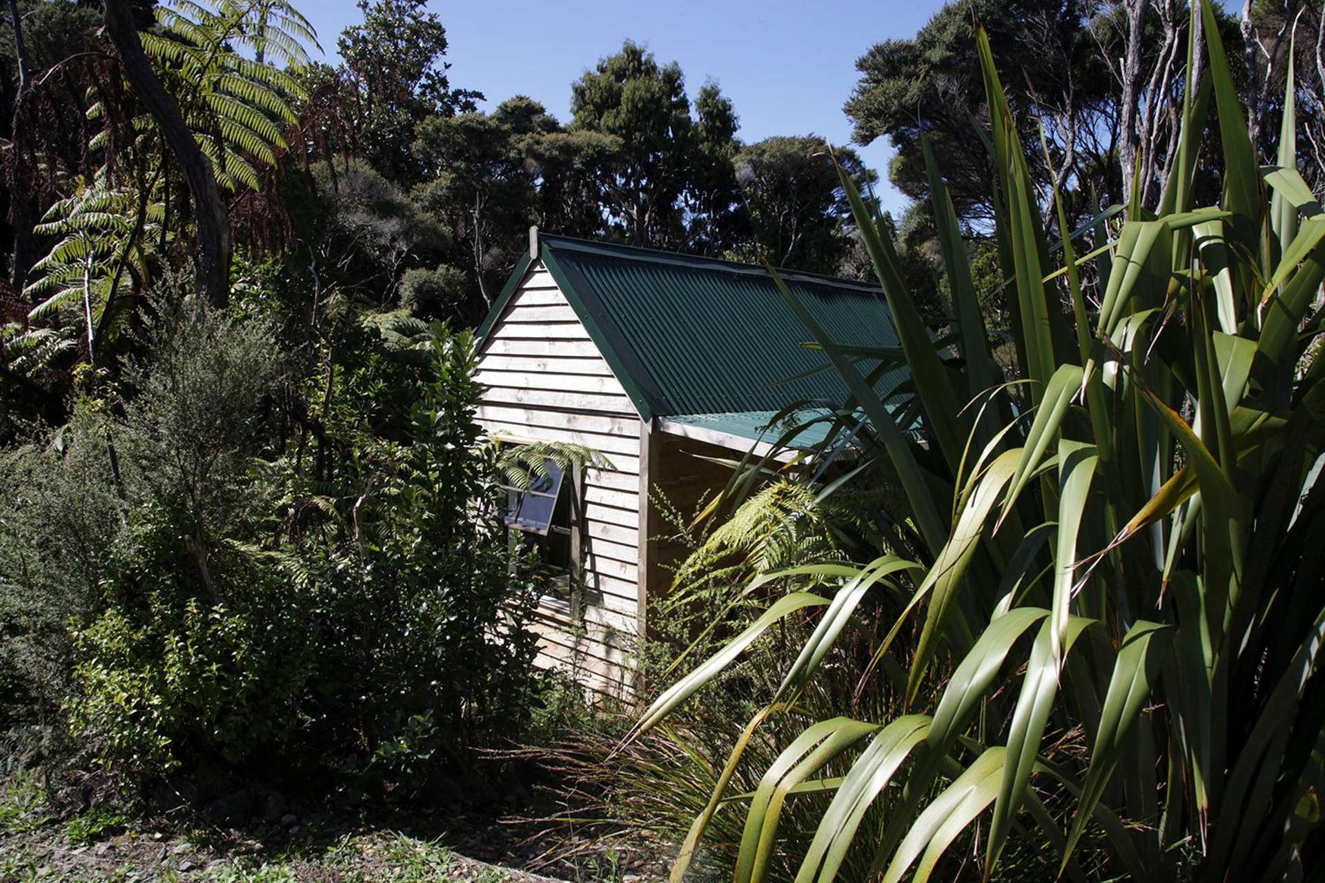 Devi Cabin/126 Lone Kauri Rd Karekare_0