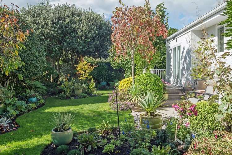 15 Mcmaster Street Greytown_17