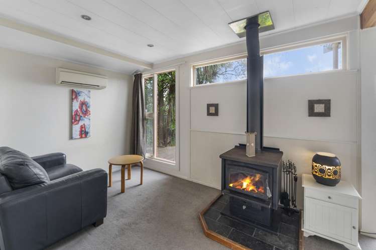 83 Green Street Tahunanui_5