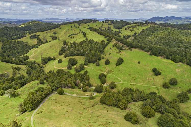 313 Paiaka Road Towai_15