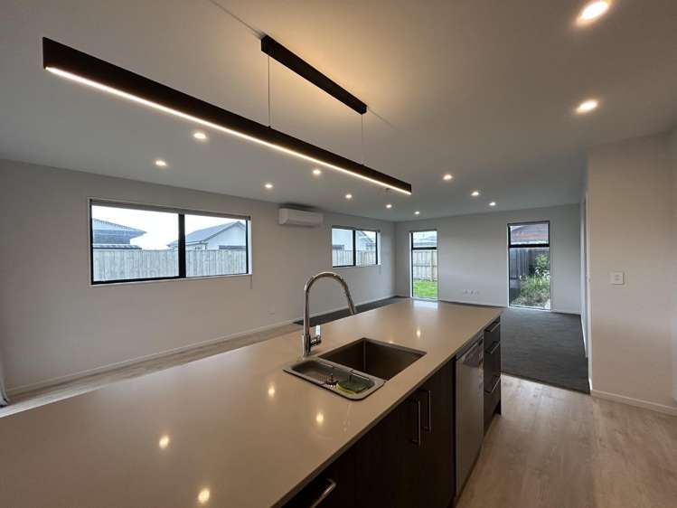 10 Horopito Street 1447_4