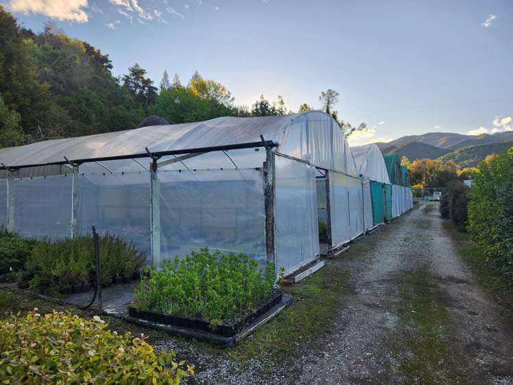 539 Upper Hook Road Waimate_16