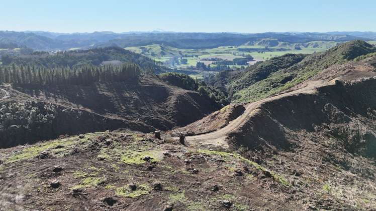 Waireka Road Papaiti_6