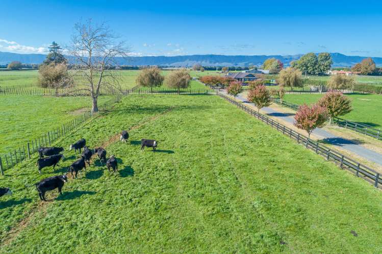 250 Waharoa Road Matamata_14