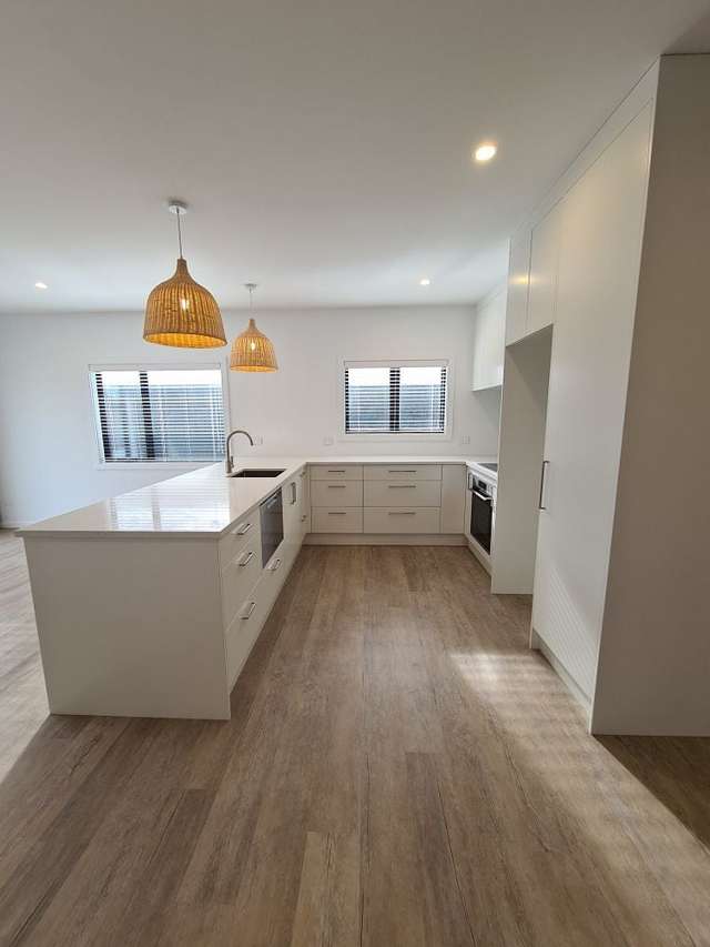 156B Te Awa Avenue Awatoto_2