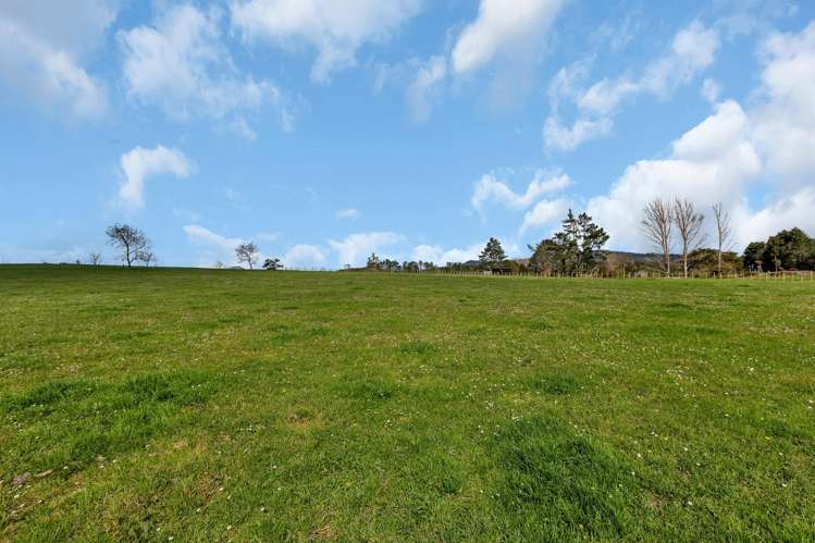 Lots 1 - 3 Draffin Road Poroti_13