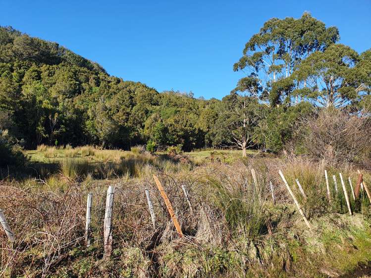 42 Herd Street Dunollie_0