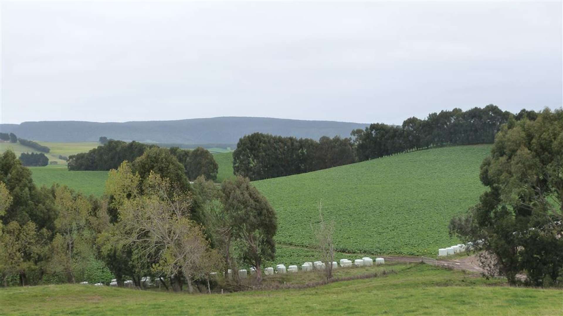 44 Rodgers Road Catlins Surrounds_0