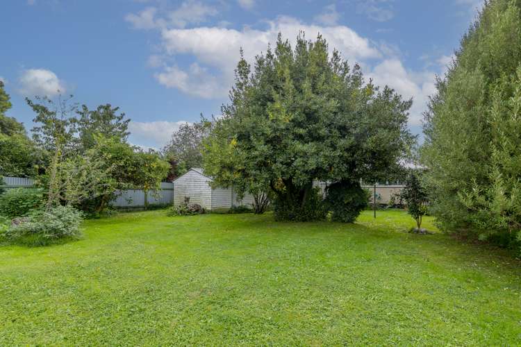 50 Power Street Levin_12