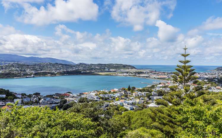 44 Marewa Road Hataitai_15