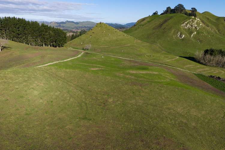 471 Poutakataka Road Ngakuru_32