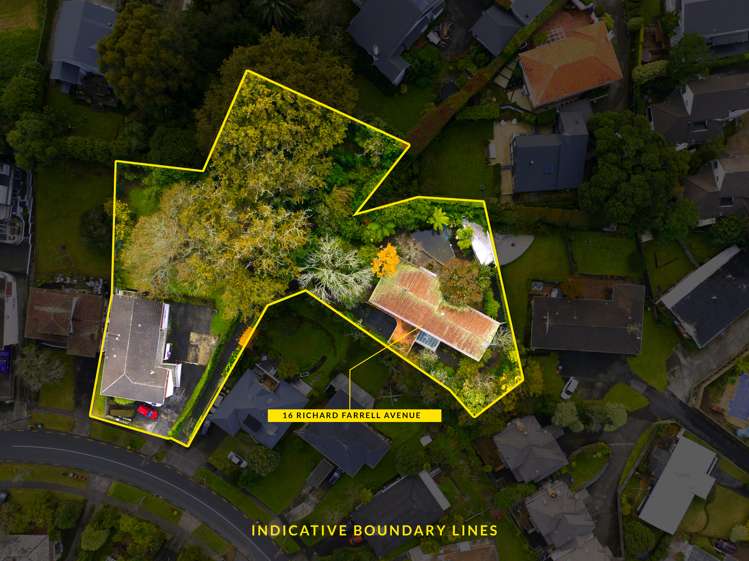 16 Richard Farrell Avenue Remuera_16