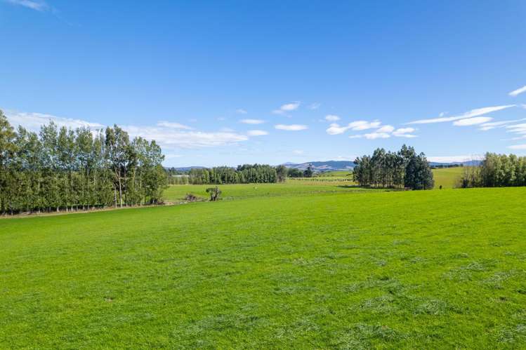 902 Avondale Road Taringatura_9