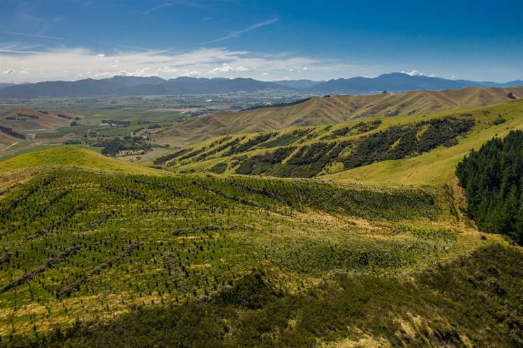 793 Taylor Pass Road Taylor Pass_12