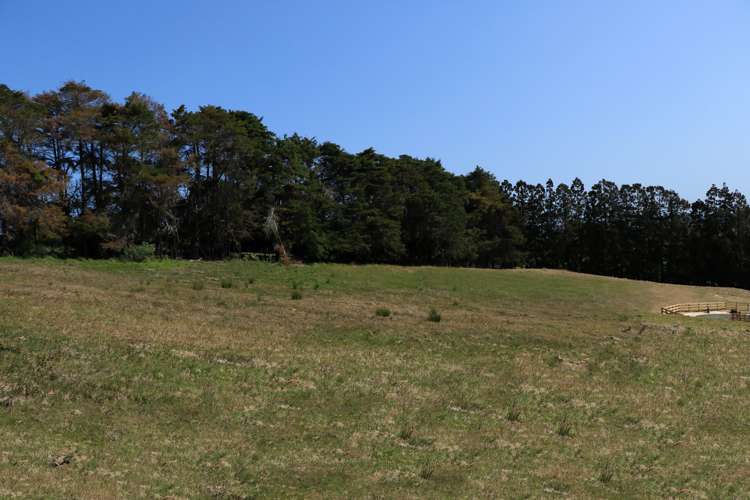 92 Mahoenui Valley Road Coatesville_4