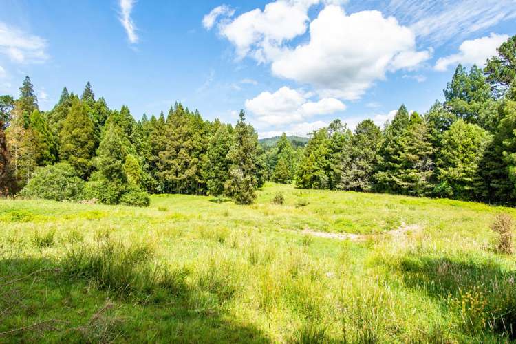 210 Waitekauri Road Waikino_21