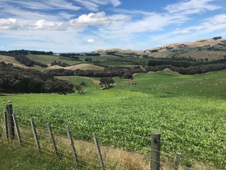 456 Ngawaka Road Central Hawkes Bay Country_11