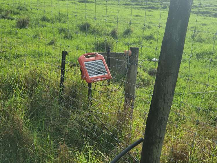 Curd Road Maungakaramea_22
