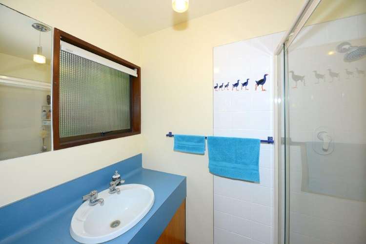 11 Osmond Lane Mount Pleasant_13