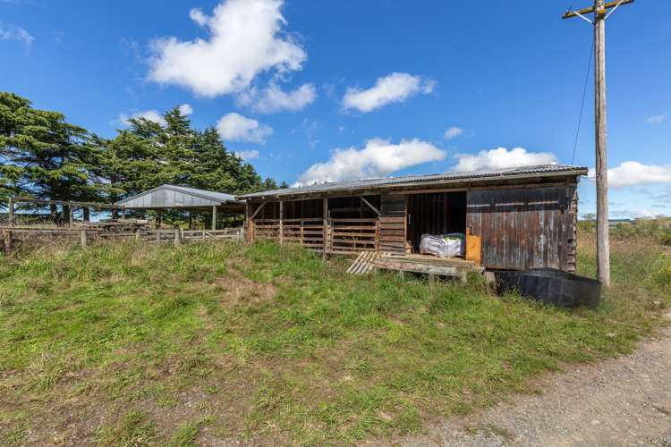 236 Hurunui Mouth Road Domett_25