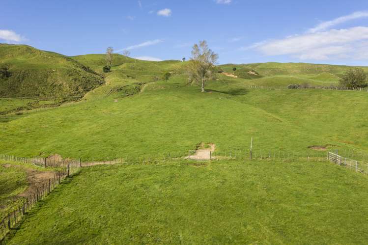 3099 State Highway 4 Te Kuiti_10