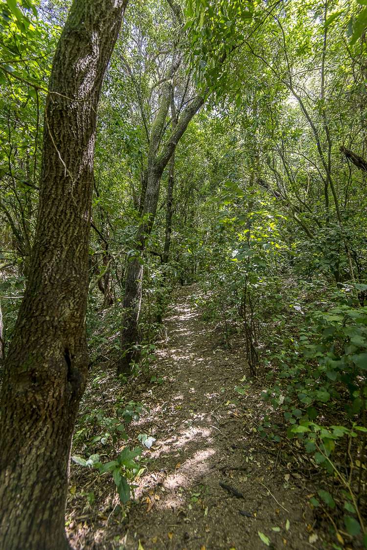 42 Zephyr Terrace Governors Bay_22