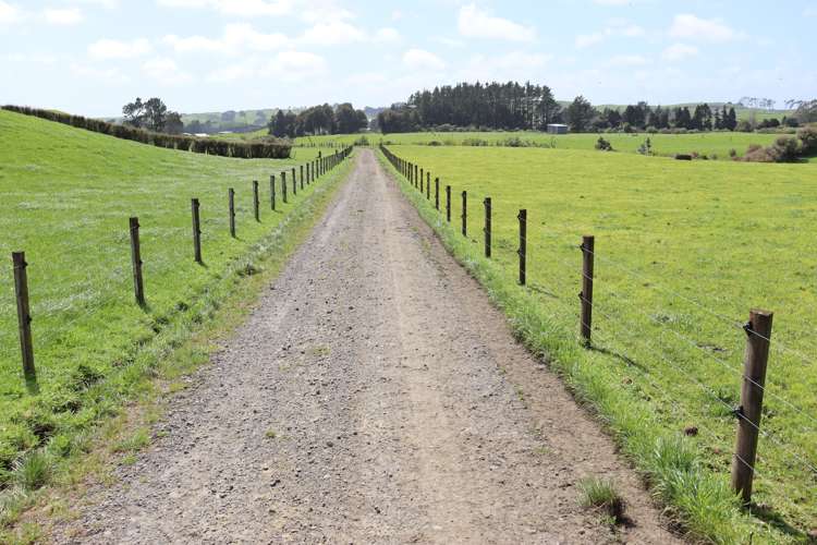 828 Hursthouse Road Inglewood_14