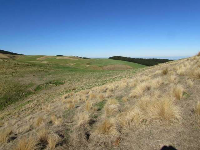 42 Bushside Road West Otago Surrounds_2