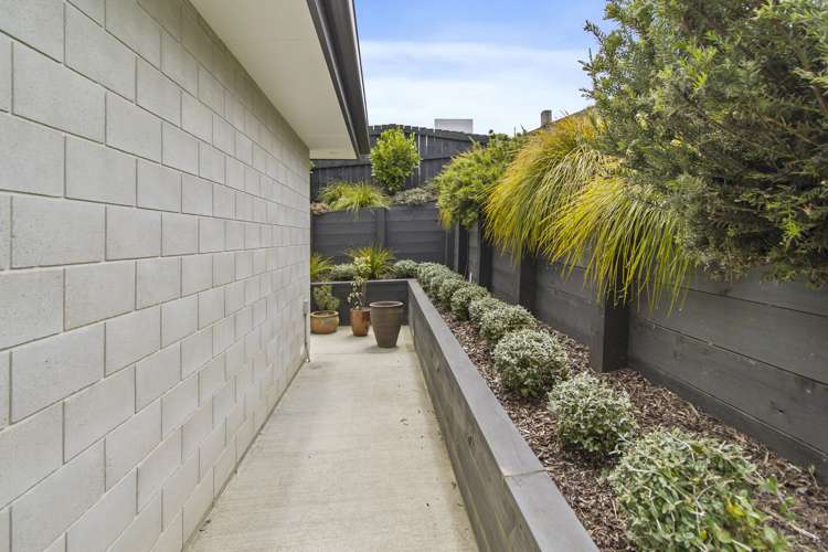 42b Jellicoe Street Oceanview_17