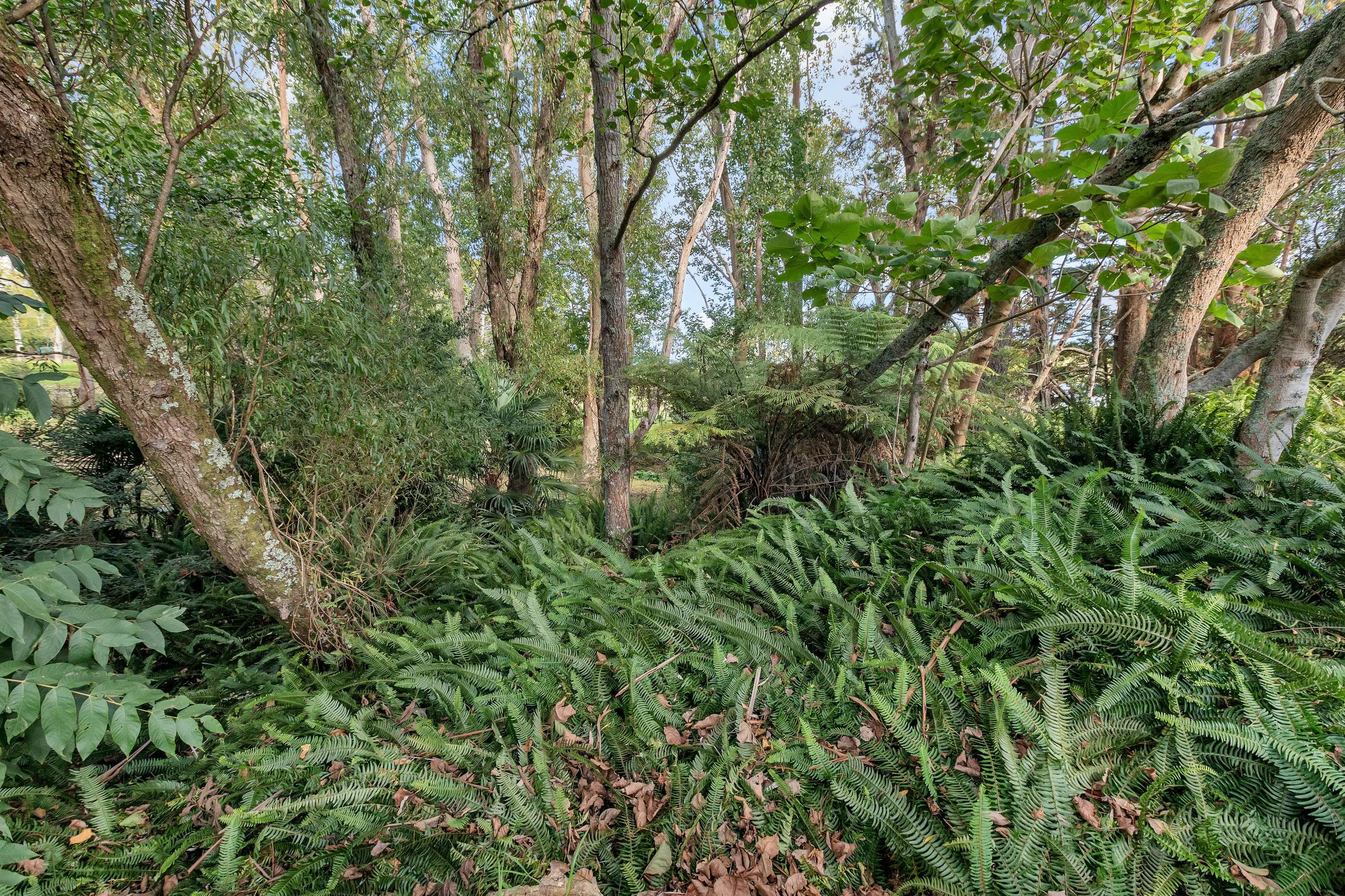 95 McLennan Road Whakapara Whangārei Houses for Sale One Roof