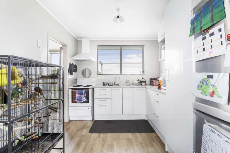 48a Livingstone Avenue Nawton_6