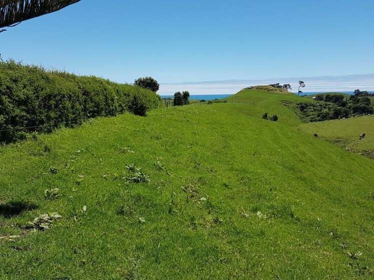 80 Koru Road Omata_28