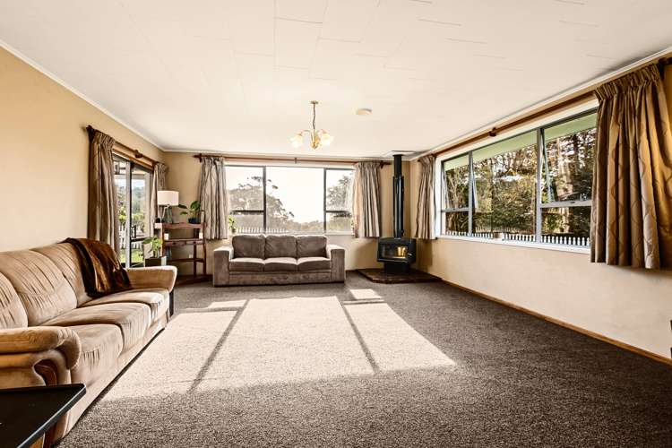 114 Huatoki Street Frankleigh Park_5