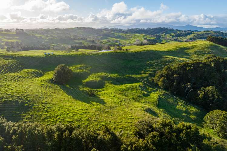 85 Lusk Road Ruawai_12