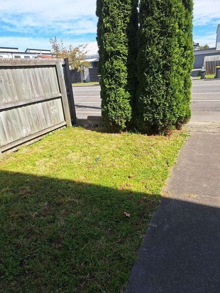 516 Barbadoes Street Edgeware_3