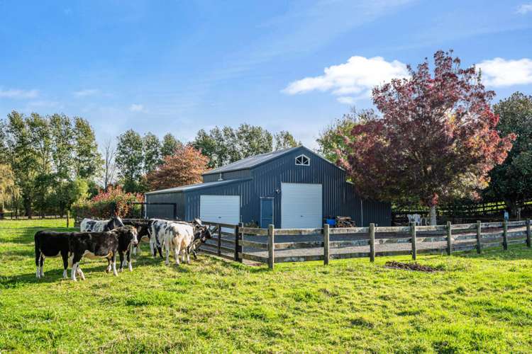 53 John Hindmarsh Road Karaka_28