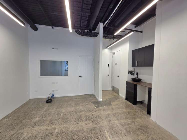 G02/12 Vinegar Lane, Grey Lynn, Auckland Grey Lynn_5