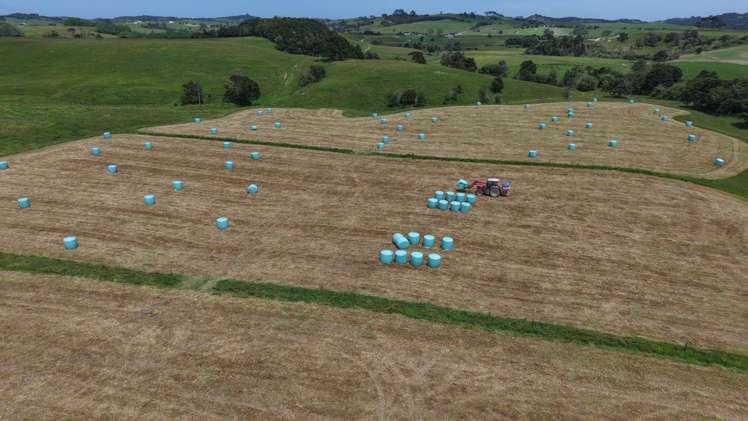 144 Poyner Road Paparoa_17