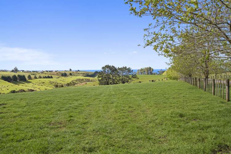 465 Otaha Road Kerikeri_14