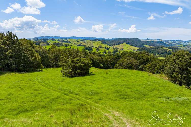 338 Wairere Road Paparoa_49