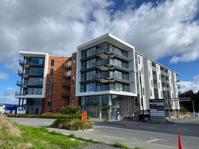 221/3 Kaipiho Lane Albany_1