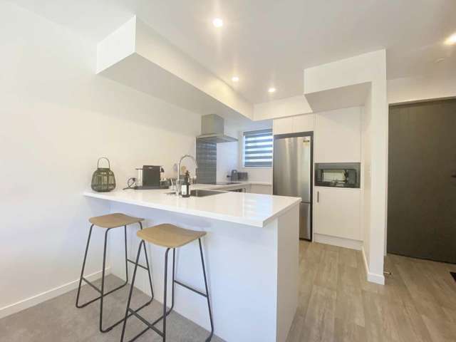 1/2C Dellow Place Spreydon_2