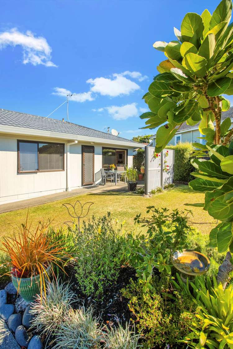1/24b Arahoe Road New Lynn_15