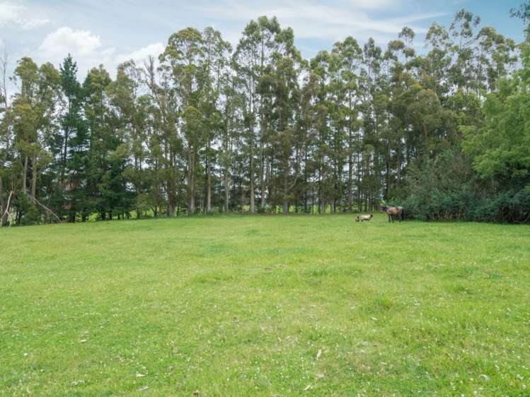 656 Tukairangi Road Kinloch_13