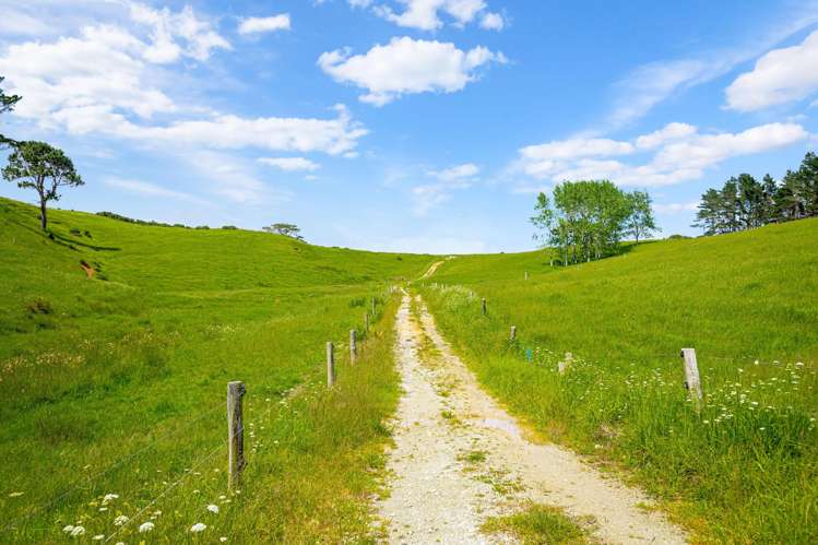 515 Kahikatea Flat Road Waitoki_8