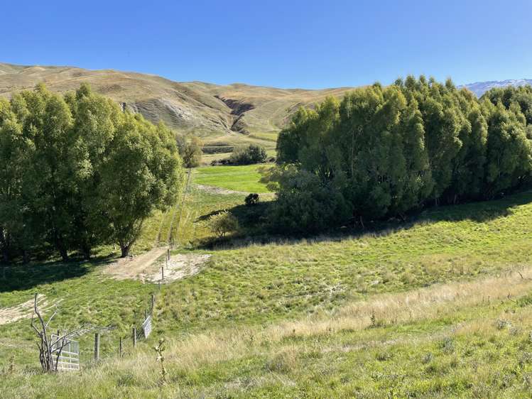 Kinney Road Chatto Creek_20