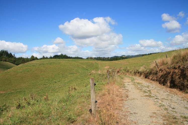 698 Mangaoapa Road Matau_20