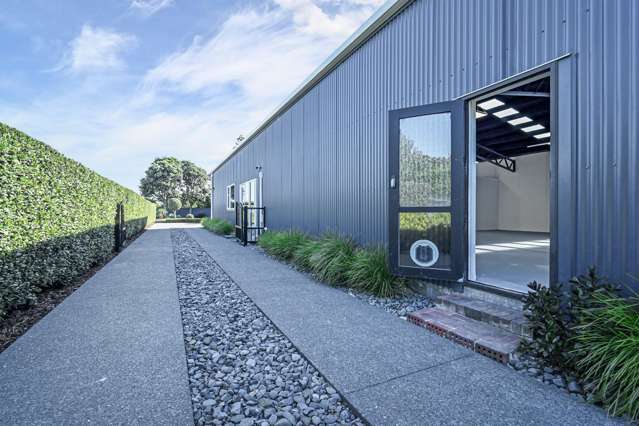 28 Pitt Street Clive_3